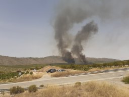 INCENDIO FORESTAL TOBARRA 24-07-2021